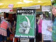 Japan Wildlife Conservation Society, NGO, protect the wildlife