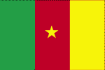 Cameroon national flag