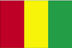 Guinean national flag